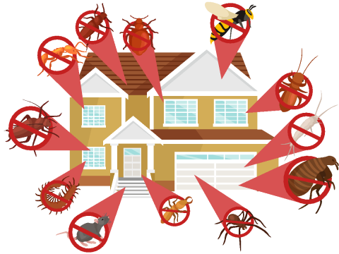 Illustration of a house with exploded view of household pests, ant, cockroach, wasp, white ant, spider, silverfish, flea, rat or mouse, centipede, tick